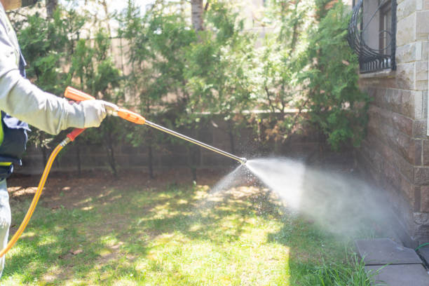 Wasp Removal Services in Lockport Heights, IL